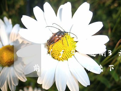廣發(fā)逾期3天打電話說12.半之前不還款將移交下個部門，沒錢如何處理？